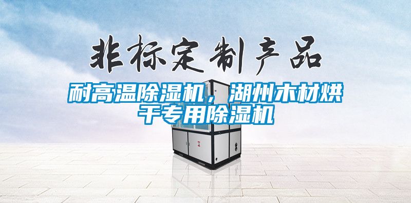 耐高溫除濕機，湖州木材烘干專用除濕機