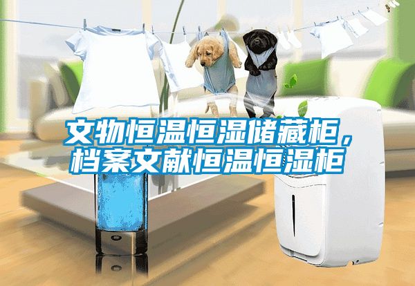 文物恒溫恒濕儲藏柜，檔案文獻(xiàn)恒溫恒濕柜
