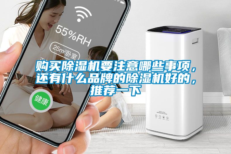 購(gòu)買除濕機(jī)要注意哪些事項(xiàng)，還有什么品牌的除濕機(jī)好的，推薦一下