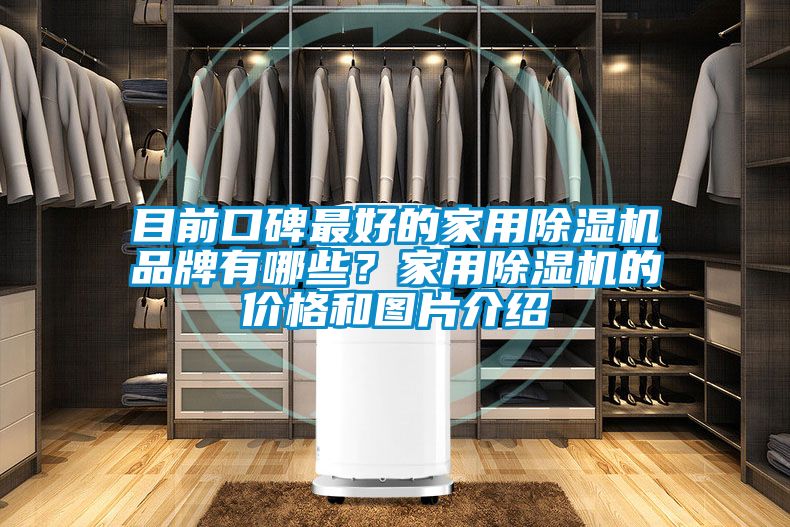 目前口碑最好的家用除濕機(jī)品牌有哪些？家用除濕機(jī)的價(jià)格和圖片介紹
