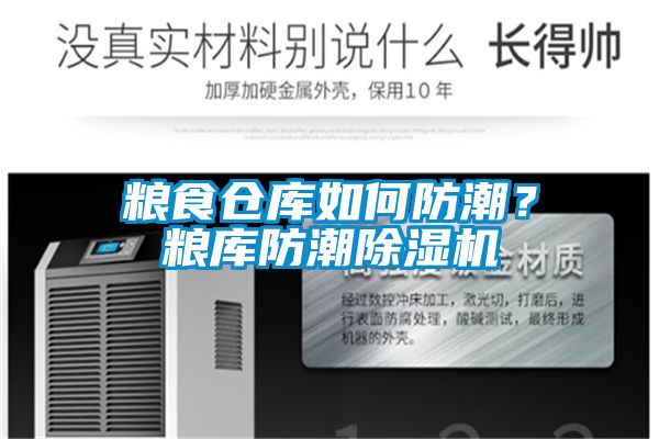 糧食倉庫如何防潮？糧庫防潮除濕機(jī)