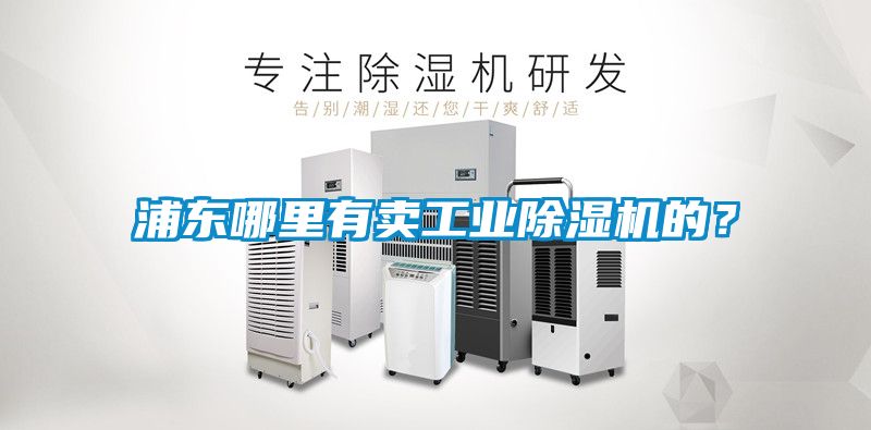 浦東哪里有賣工業除濕機的？