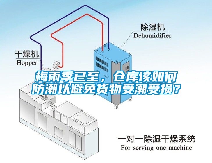 梅雨季已至，倉(cāng)庫(kù)該如何防潮以避免貨物受潮受損？
