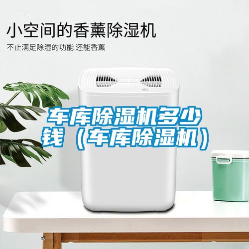 車庫(kù)除濕機(jī)多少錢（車庫(kù)除濕機(jī)）