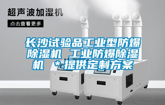 長沙試驗品工業型防爆除濕機 工業防爆除濕機 ＊提供定制方案