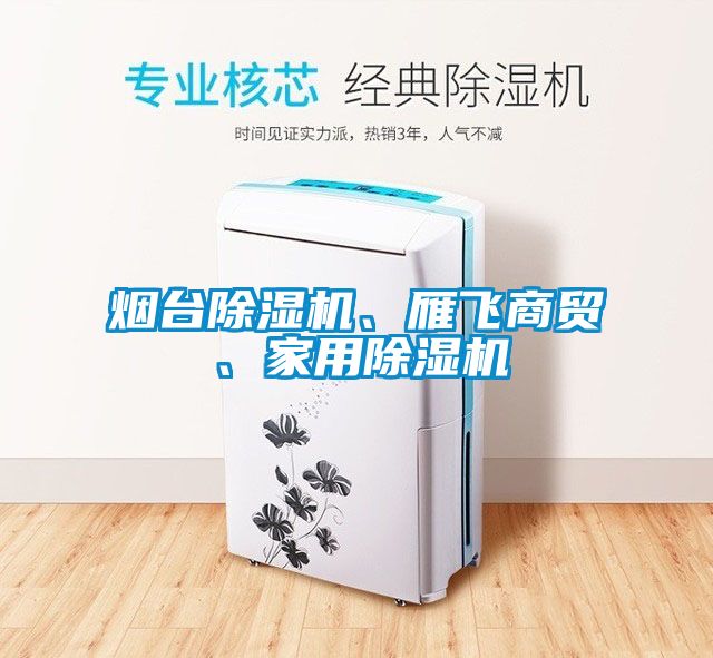 煙臺除濕機、雁飛商貿(mào)、家用除濕機
