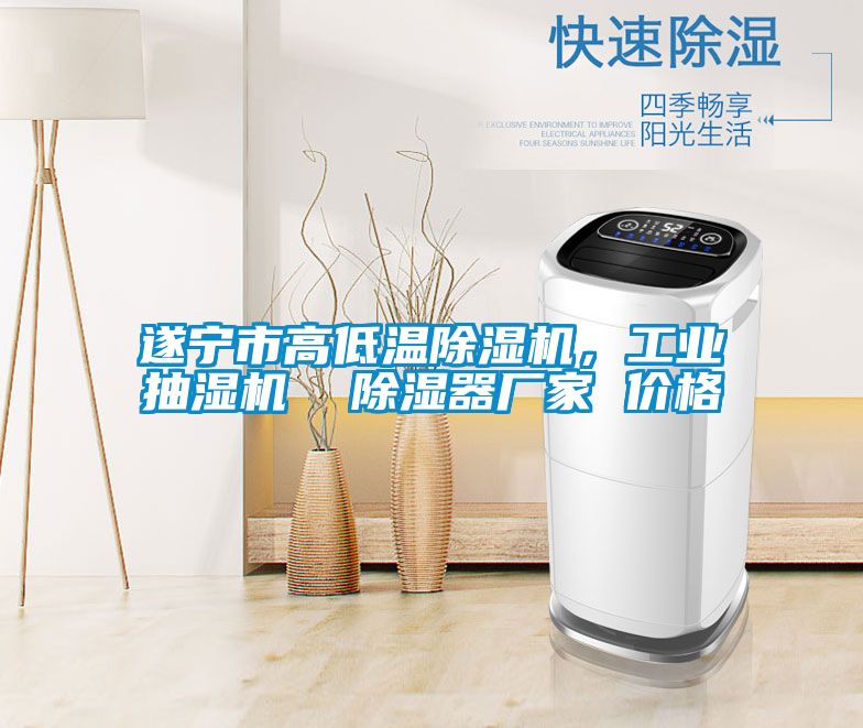 遂寧市高低溫除濕機，工業抽濕機  除濕器廠家 價格
