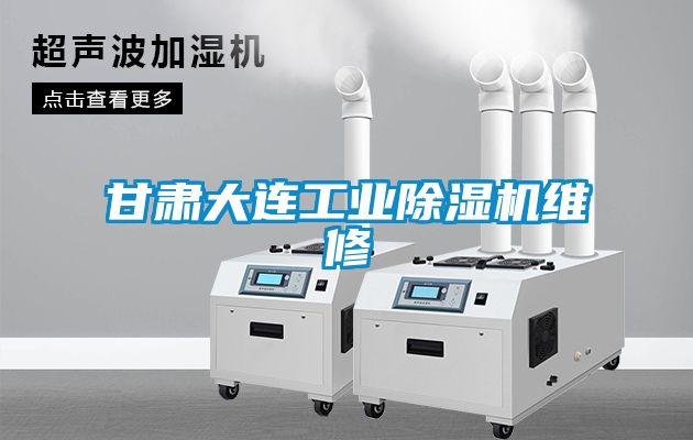 甘肅大連工業除濕機維修