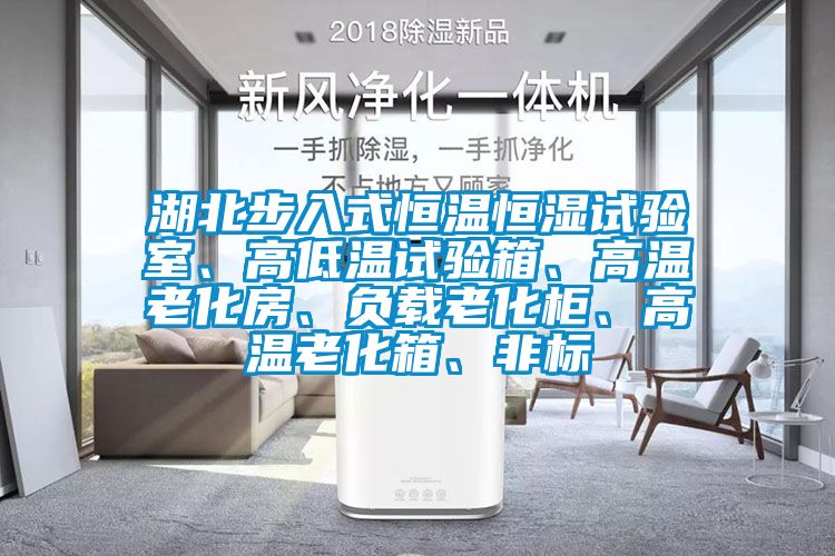 湖北步入式恒溫恒濕試驗(yàn)室、高低溫試驗(yàn)箱、高溫老化房、負(fù)載老化柜、高溫老化箱、非標(biāo)