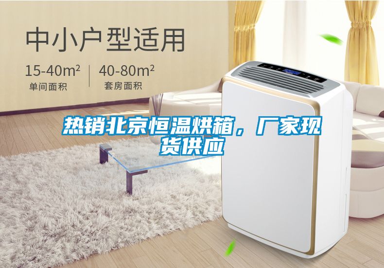 熱銷(xiāo)北京恒溫烘箱，廠家現(xiàn)貨供應(yīng)