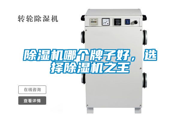 除濕機哪個牌子好，選擇除濕機之王
