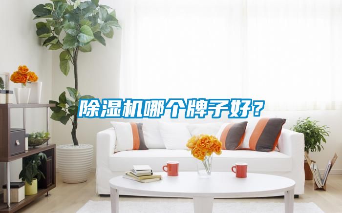 除濕機哪個牌子好？