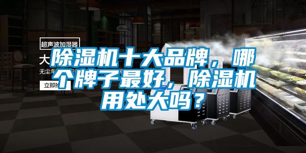除濕機十大品牌，哪個牌子最好，除濕機用處大嗎？