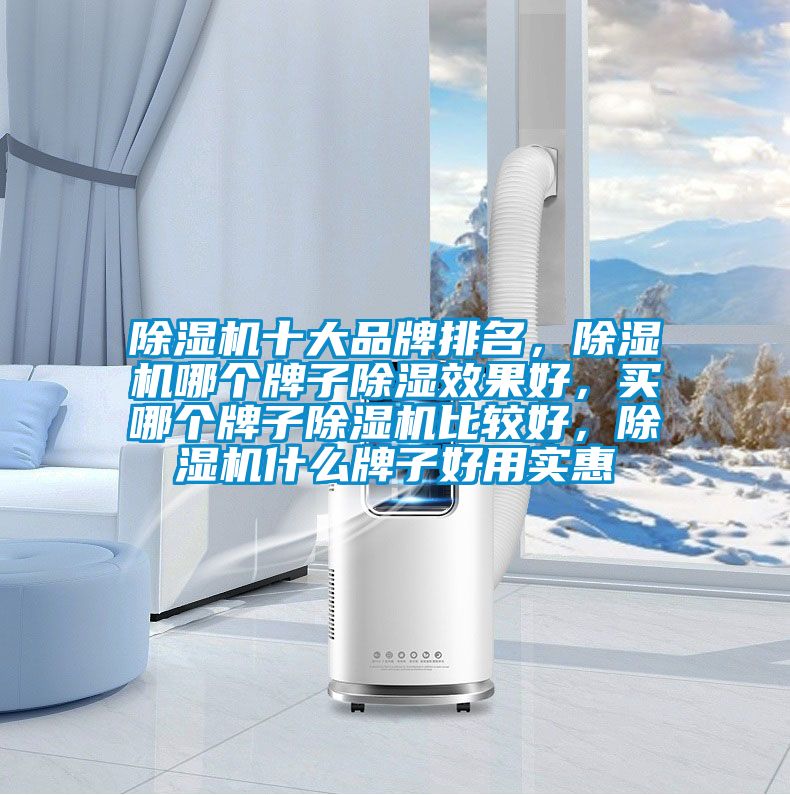 除濕機十大品牌排名，除濕機哪個牌子除濕效果好，買哪個牌子除濕機比較好，除濕機什么牌子好用實惠