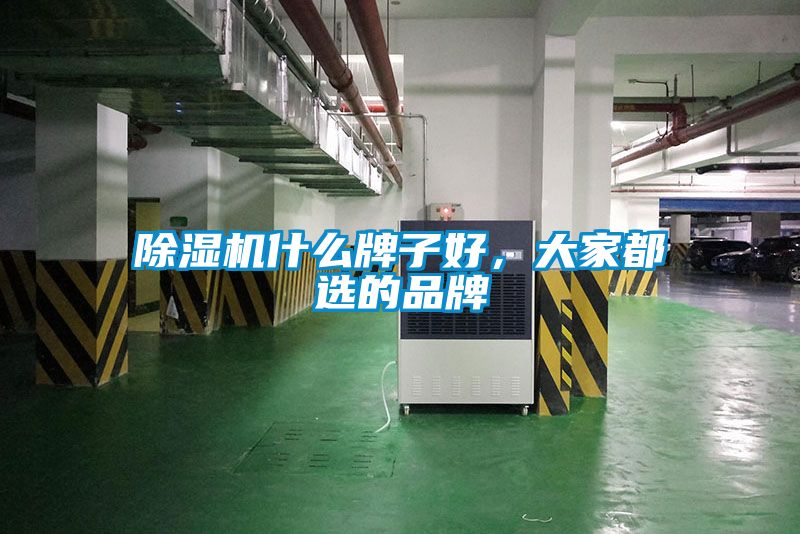 除濕機什么牌子好，大家都選的品牌