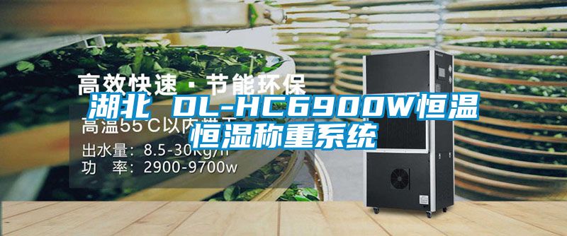 湖北 DL-HC6900W恒溫恒濕稱重系統