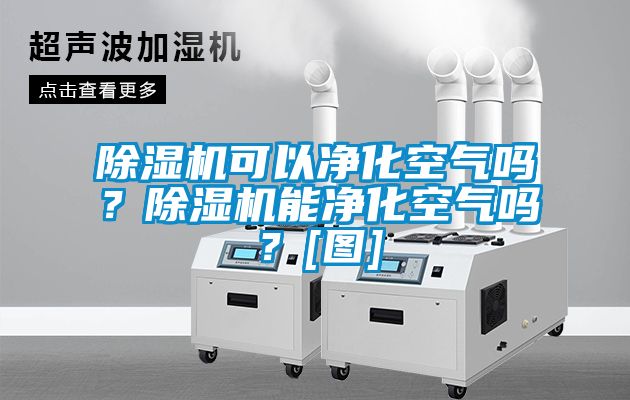 除濕機可以凈化空氣嗎？除濕機能凈化空氣嗎？[圖]