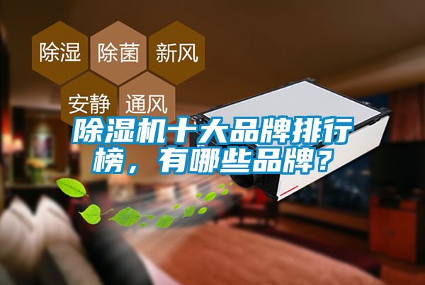 除濕機十大品牌排行榜，有哪些品牌？