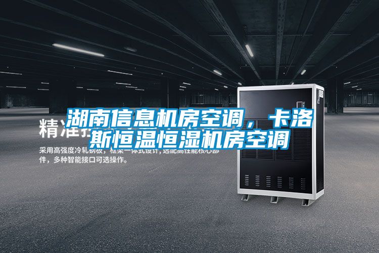 湖南信息機房空調(diào)，卡洛斯恒溫恒濕機房空調(diào)