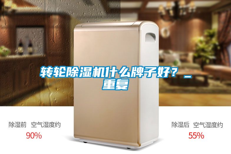 轉輪除濕機什么牌子好？_重復
