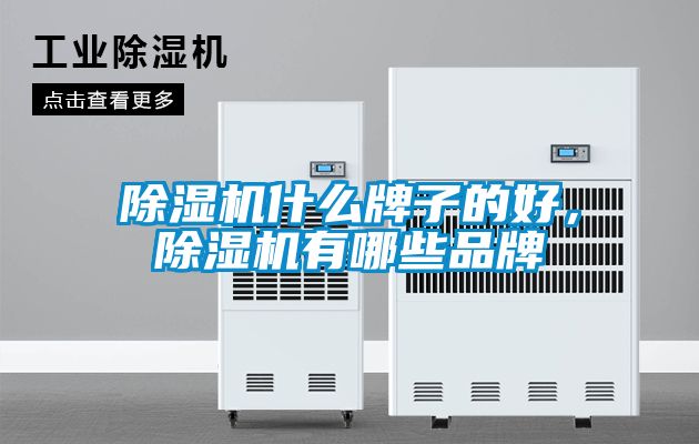 除濕機(jī)什么牌子的好，除濕機(jī)有哪些品牌