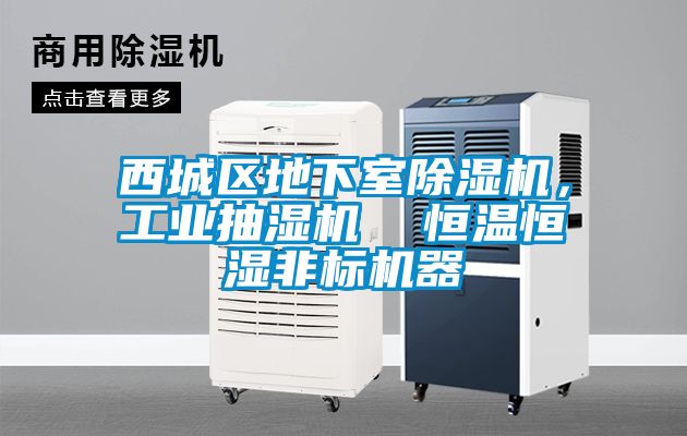 西城區(qū)地下室除濕機(jī)，工業(yè)抽濕機(jī)  恒溫恒濕非標(biāo)機(jī)器