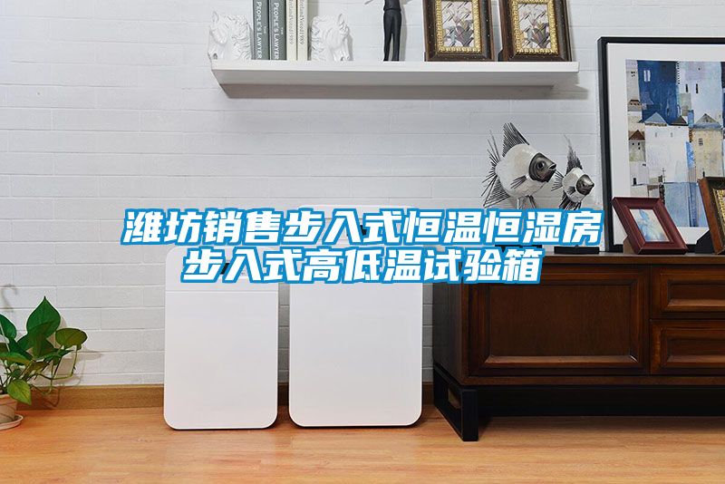 濰坊銷(xiāo)售步入式恒溫恒濕房步入式高低溫試驗(yàn)箱