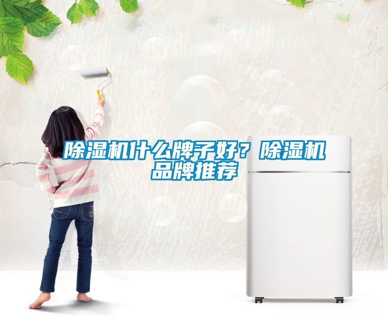 除濕機什么牌子好？除濕機品牌推薦