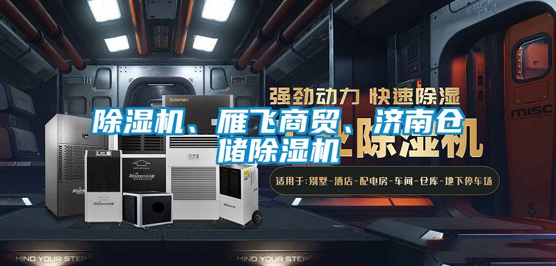 除濕機(jī)、雁飛商貿(mào)、濟(jì)南倉儲(chǔ)除濕機(jī)