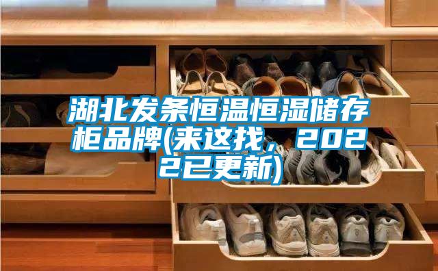 湖北發條恒溫恒濕儲存柜品牌(來這找，2022已更新)