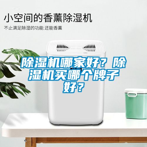 除濕機哪家好？除濕機買哪個牌子好？