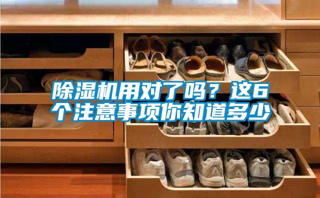 除濕機用對了嗎？這6個注意事項你知道多少