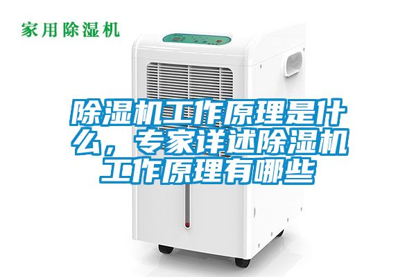 除濕機工作原理是什么，專家詳述除濕機工作原理有哪些