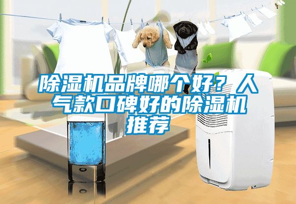 除濕機(jī)品牌哪個(gè)好？人氣款口碑好的除濕機(jī)推薦