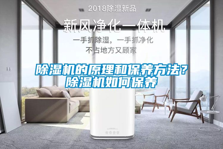 除濕機的原理和保養方法？除濕機如何保養