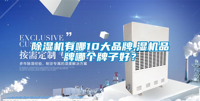 除濕機有哪10大品牌,濕機品牌哪個牌子好？