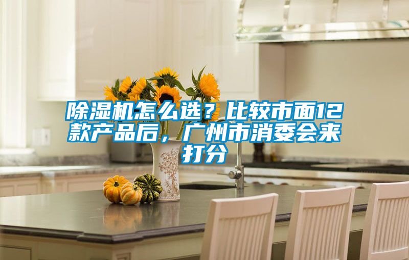 除濕機怎么選？比較市面12款產品后，廣州市消委會來打分