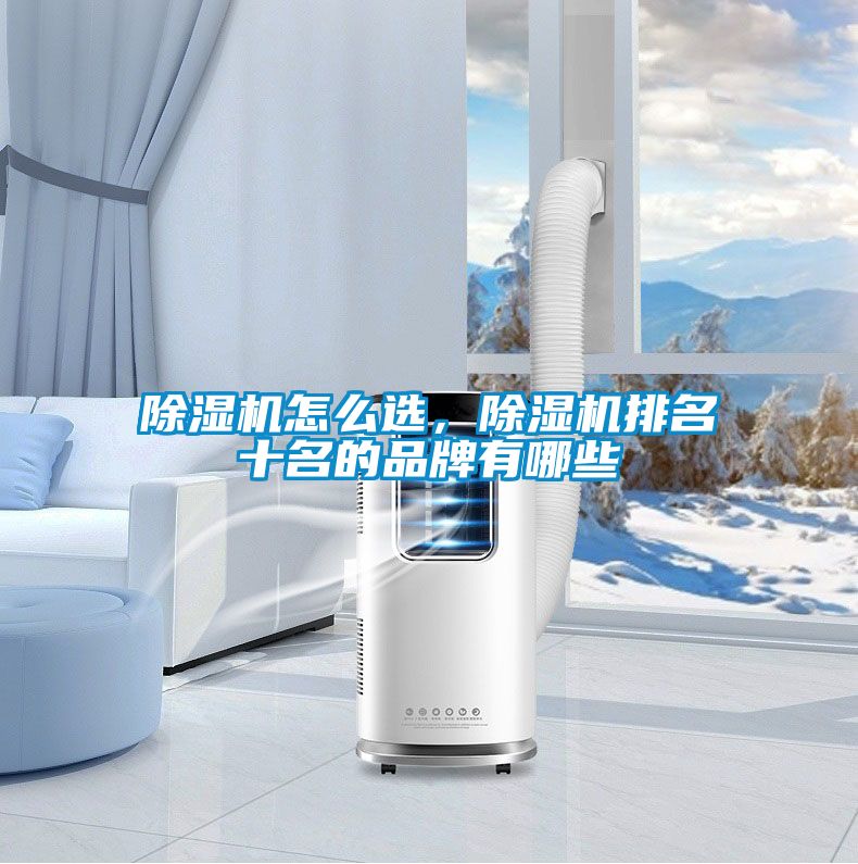 除濕機怎么選，除濕機排名十名的品牌有哪些