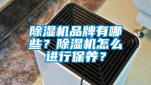 除濕機(jī)品牌有哪些？除濕機(jī)怎么進(jìn)行保養(yǎng)？