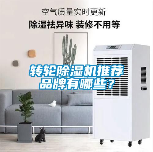 轉(zhuǎn)輪除濕機(jī)推薦品牌有哪些？