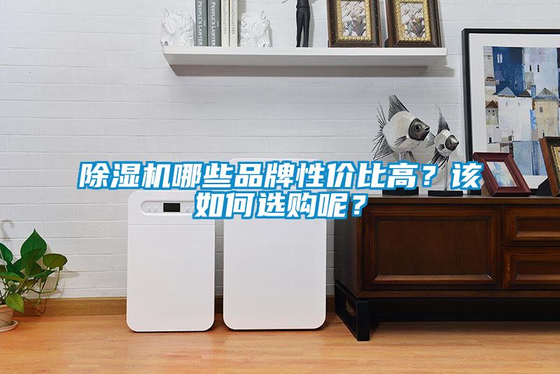除濕機哪些品牌性價比高？該如何選購呢？