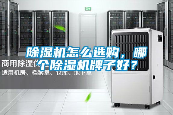 除濕機(jī)怎么選購(gòu)，哪個(gè)除濕機(jī)牌子好？