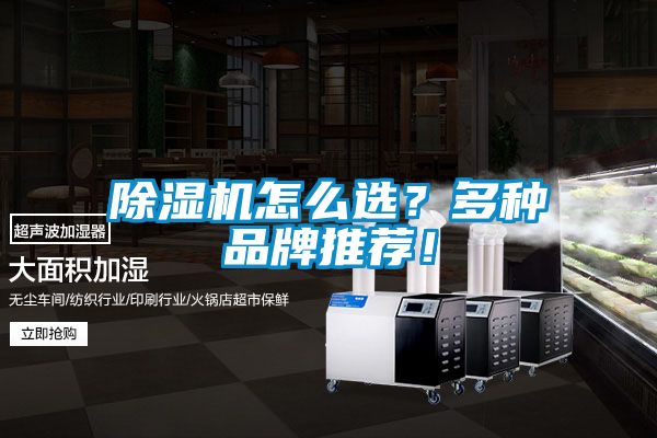 除濕機(jī)怎么選？多種品牌推薦！