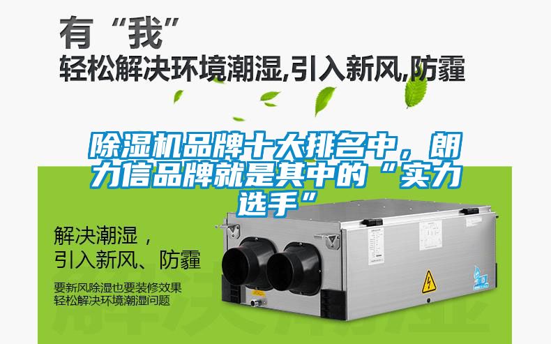 除濕機品牌十大排名中，朗力信品牌就是其中的“實力選手”