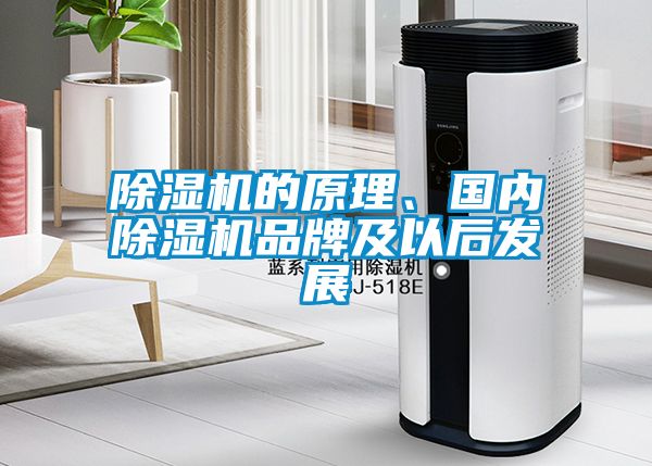 除濕機的原理、國內(nèi)除濕機品牌及以后發(fā)展
