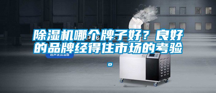 除濕機哪個牌子好？良好的品牌經得住市場的考驗。
