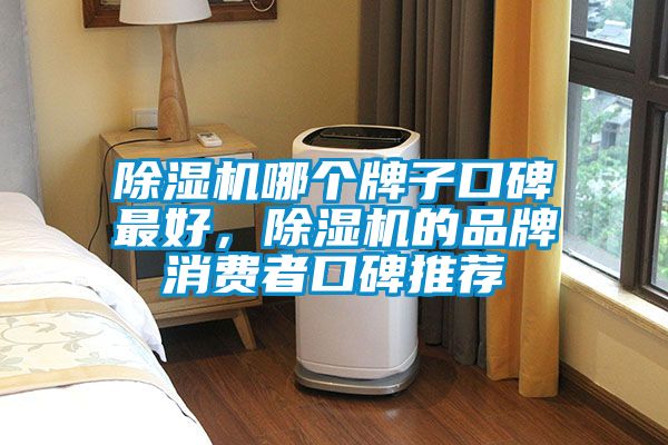 除濕機哪個牌子口碑最好，除濕機的品牌消費者口碑推薦