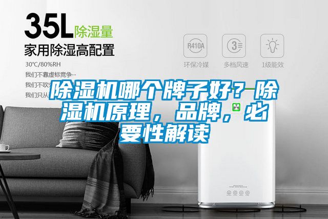 除濕機哪個牌子好？除濕機原理，品牌，必要性解讀