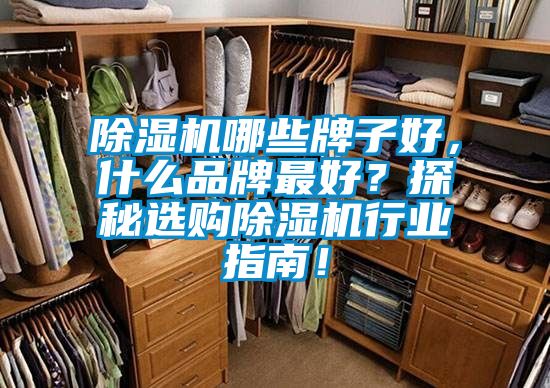 除濕機哪些牌子好，什么品牌最好？探秘選購除濕機行業指南！