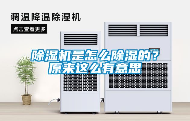 除濕機是怎么除濕的？原來這么有意思